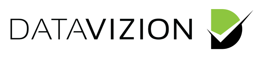 DataVizion Logo