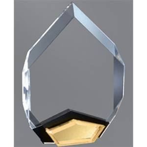 Crystal award with black and gold accents