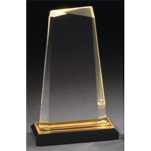 Acrylic gem award