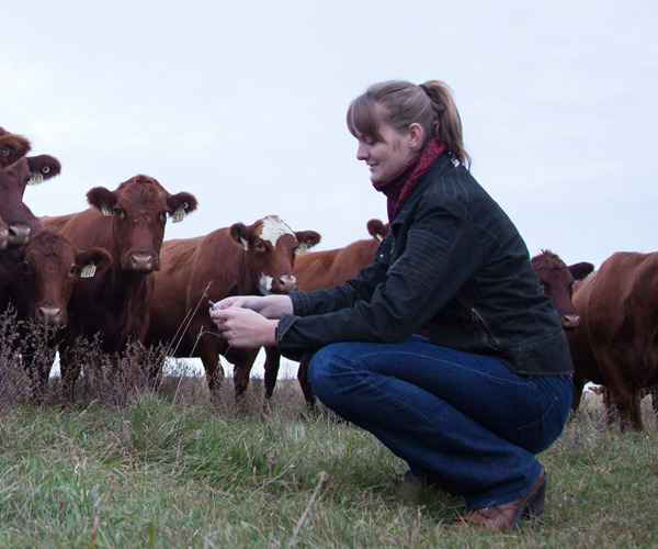 Image of Rachel Ostrander with horses