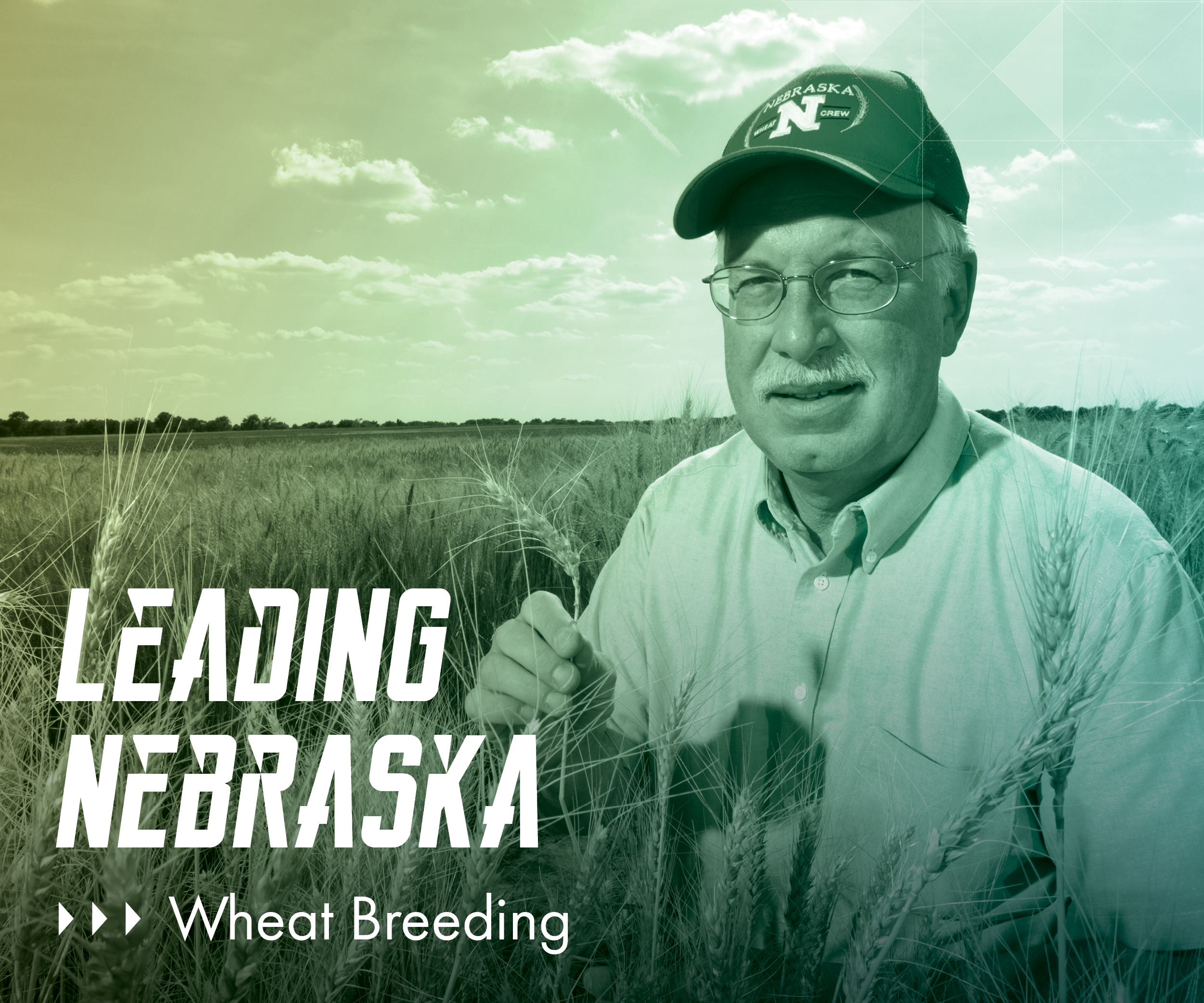 leading nebraska wheat breeding