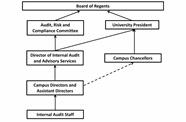 Internal Audit Organization Chart