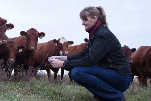 Rachel Ostrander with cows