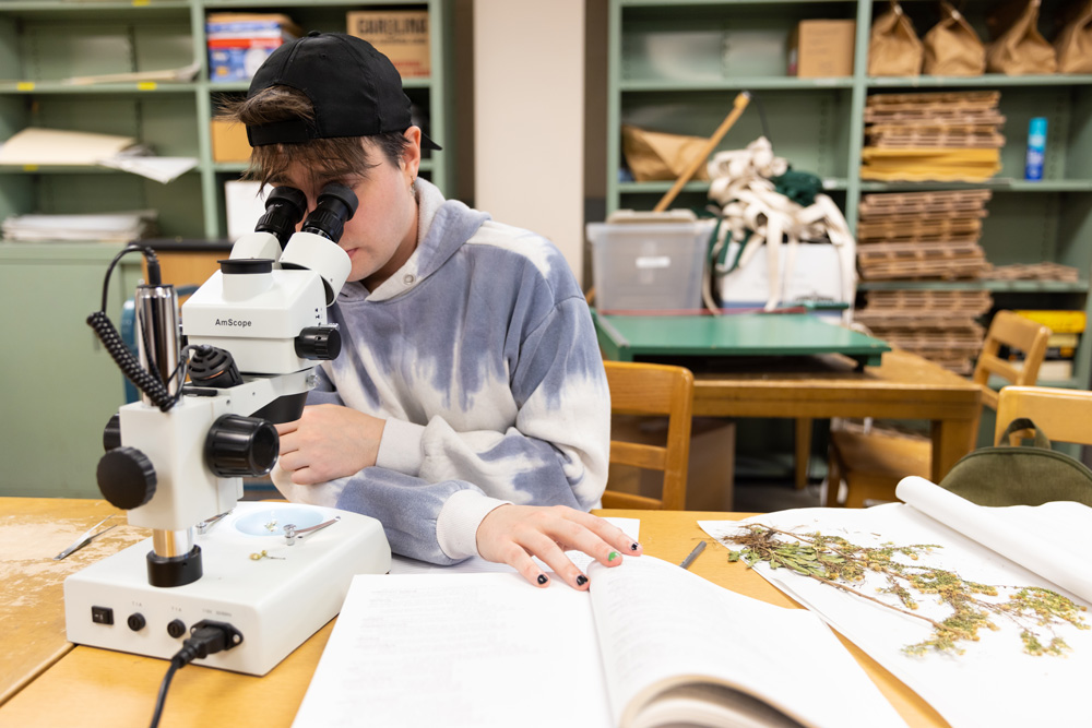 student using microscope