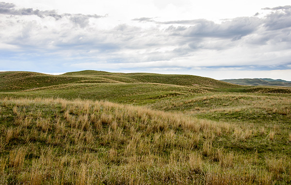 Sandhills
