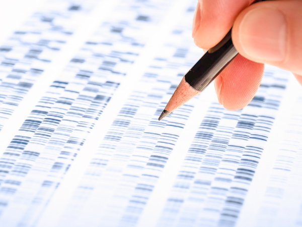 person writing on genetic test