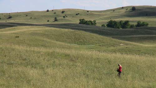 Barta Brothers Ranch 1
