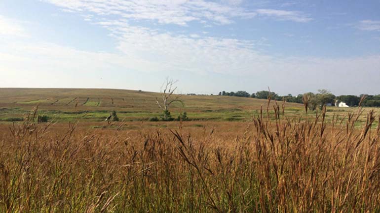 Glacier Creek Prairie research plots