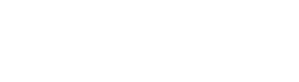 enterprise data solutions official report logo