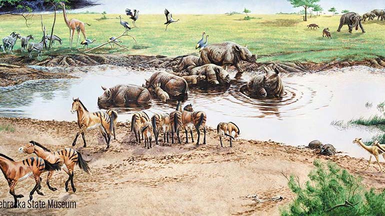 Ashfall Fossil Beds 4