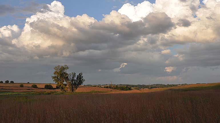 Glacier Creek Prairie