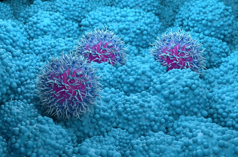 Microscopic image of cells